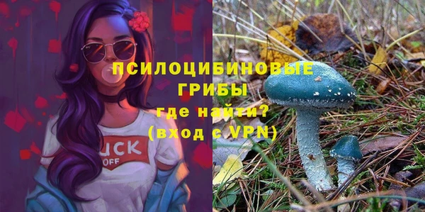 прущая мука Богородицк